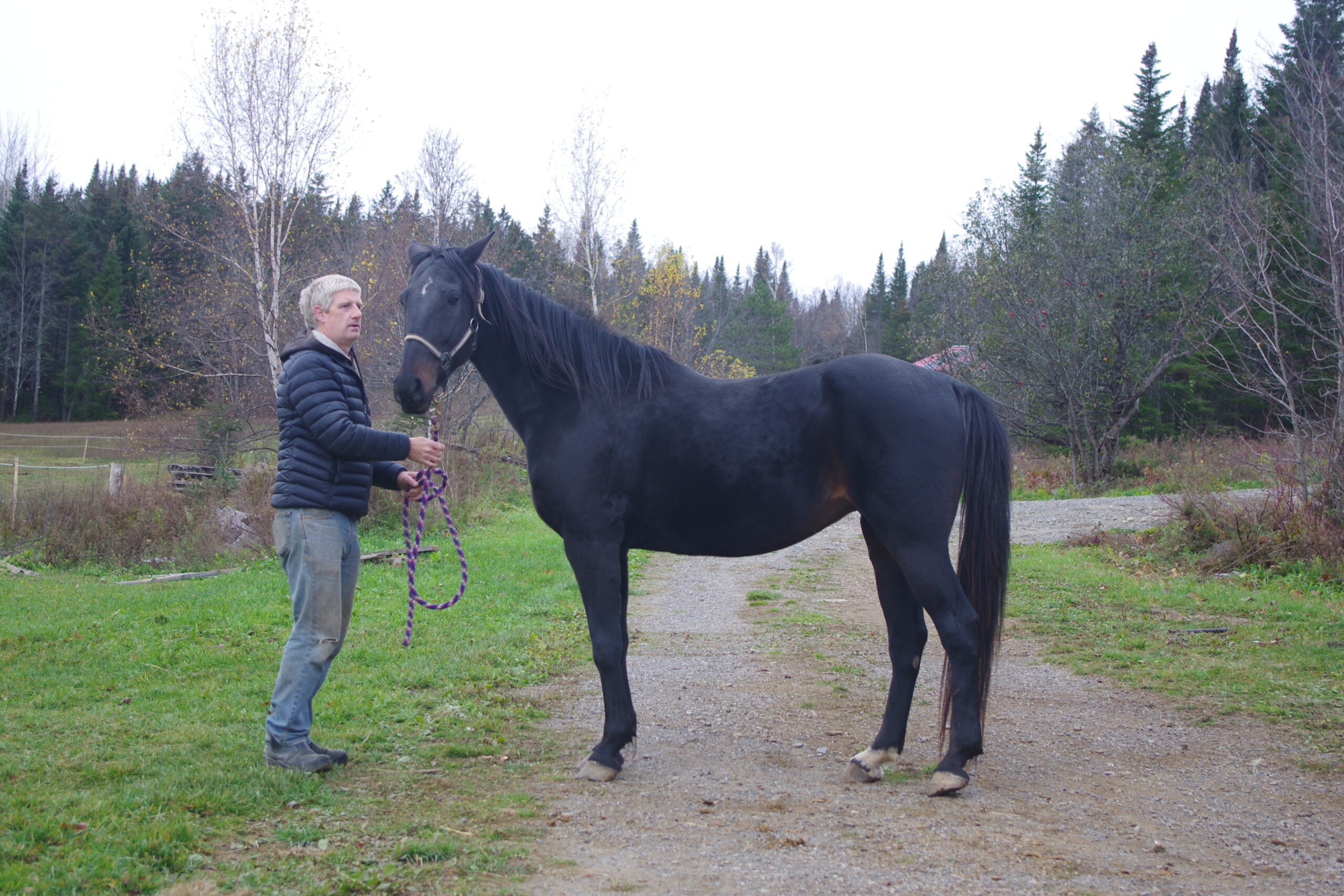 Trouble October 30-2021 (1)