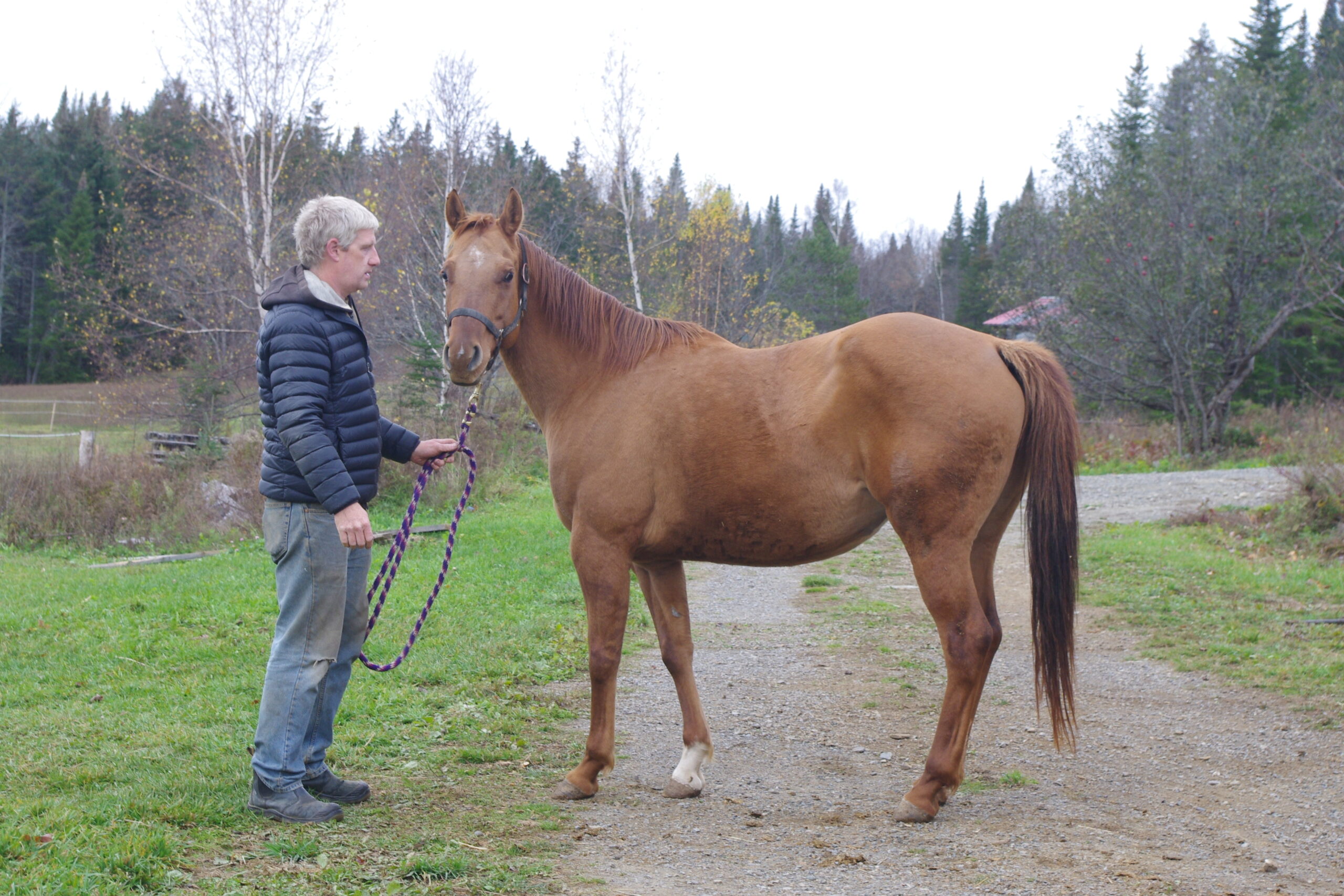 Willow October 30-2021 (2)